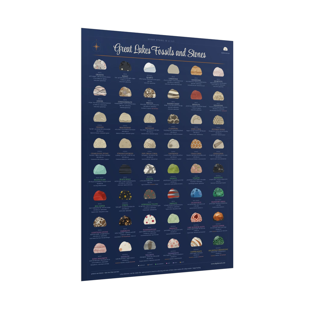 Great Lakes Fossils and Stones · 18x24 illustrated field guide poster · 48 michigan rocks, minerals and fossils