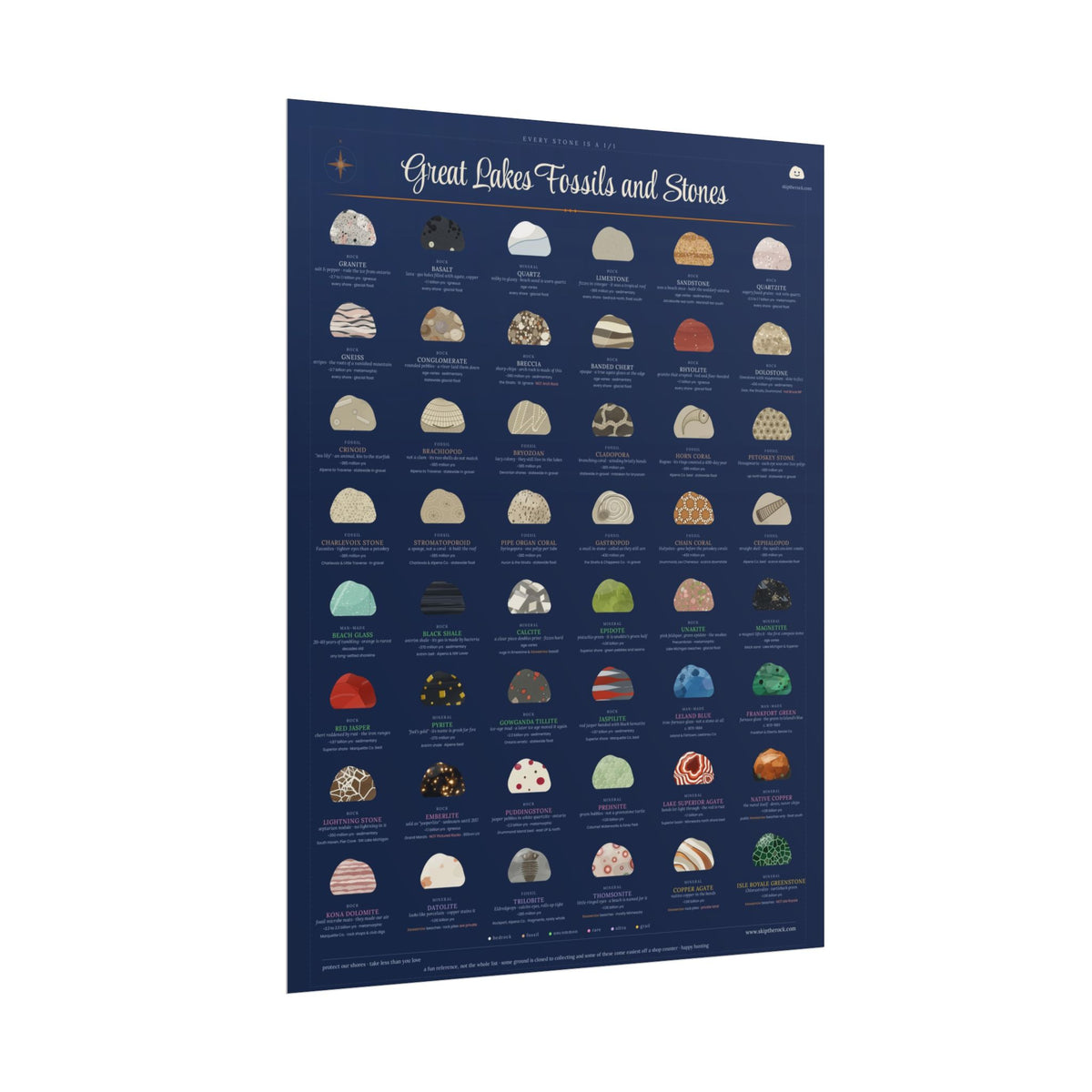 Great Lakes Fossils and Stones · 18x24 illustrated field guide poster · 48 michigan rocks, minerals and fossils