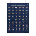 Great Lakes Fossils and Stones · 18x24 field guide poster · 48 michigan rocks, minerals and fossils