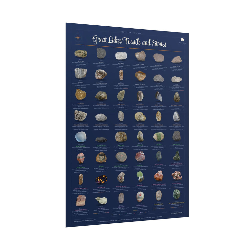 Great Lakes Fossils and Stones · 18x24 field guide poster · 48 michigan rocks, minerals and fossils