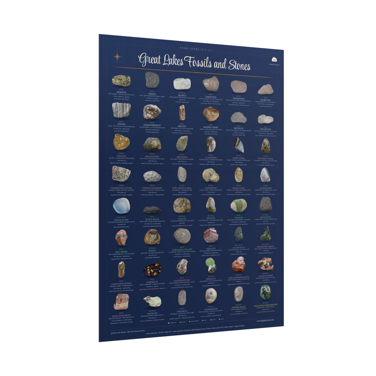 Great Lakes Fossils and Stones · 18x24 field guide poster · 48 michigan rocks, minerals and fossils