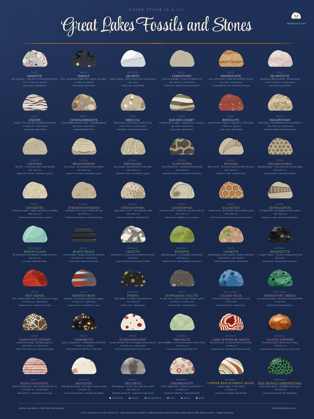 Great Lakes Fossils and Stones Field guide posters · 18×24 · illustrated and specimen sheets, 48 Great Lakes specimen