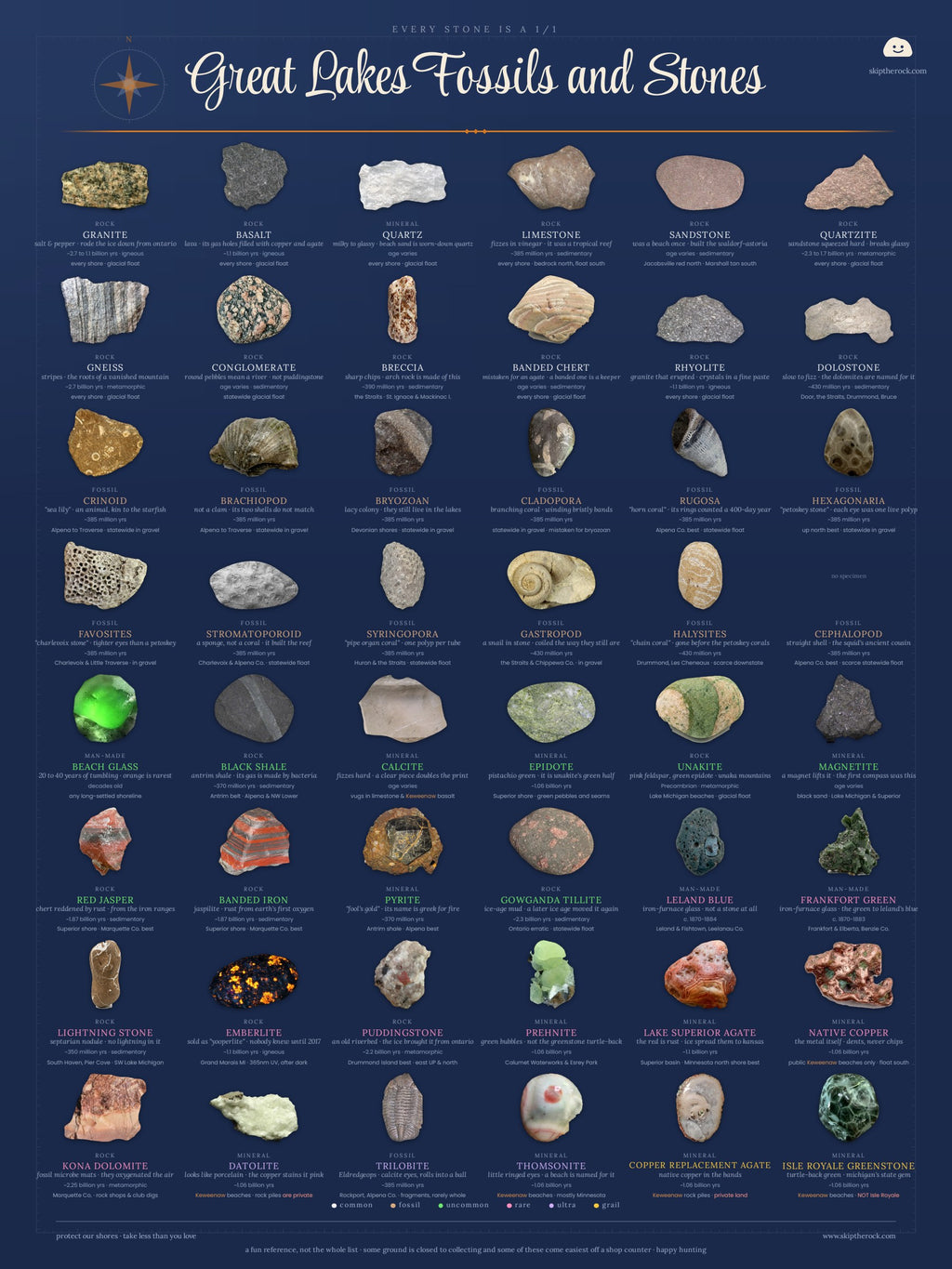 Great Lakes Fossils and Stones Field guide posters · 18×24 · illustrated and specimen sheets, 48 Great Lakes specimen