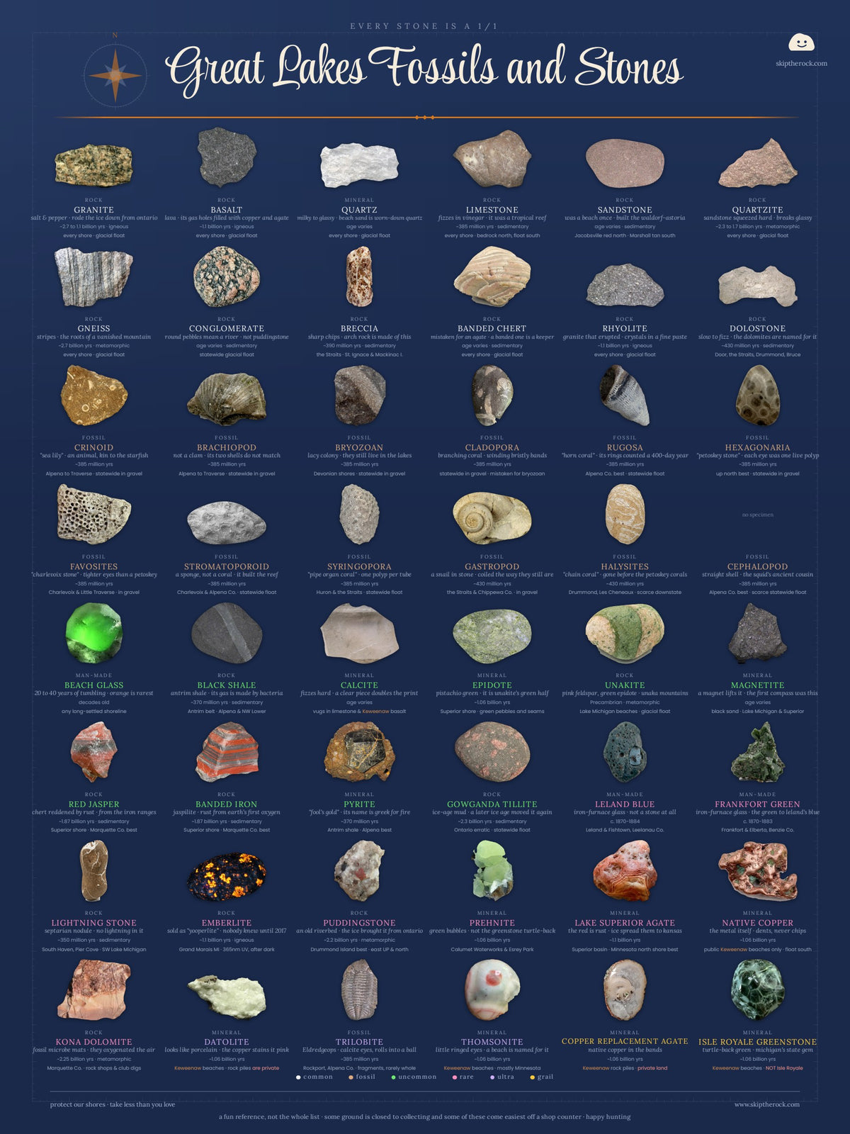 Great Lakes Fossils and Stones Field guide posters · 18×24 · illustrated and specimen sheets, 48 Great Lakes specimen